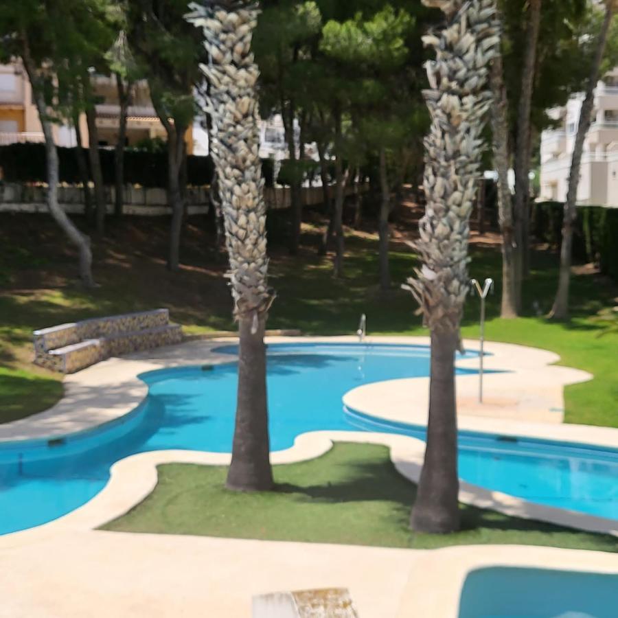 Apartamento Ines, Dehesa De Campoamor,900M From The Sea , Swimming Pool & Tennis Court Екстер'єр фото