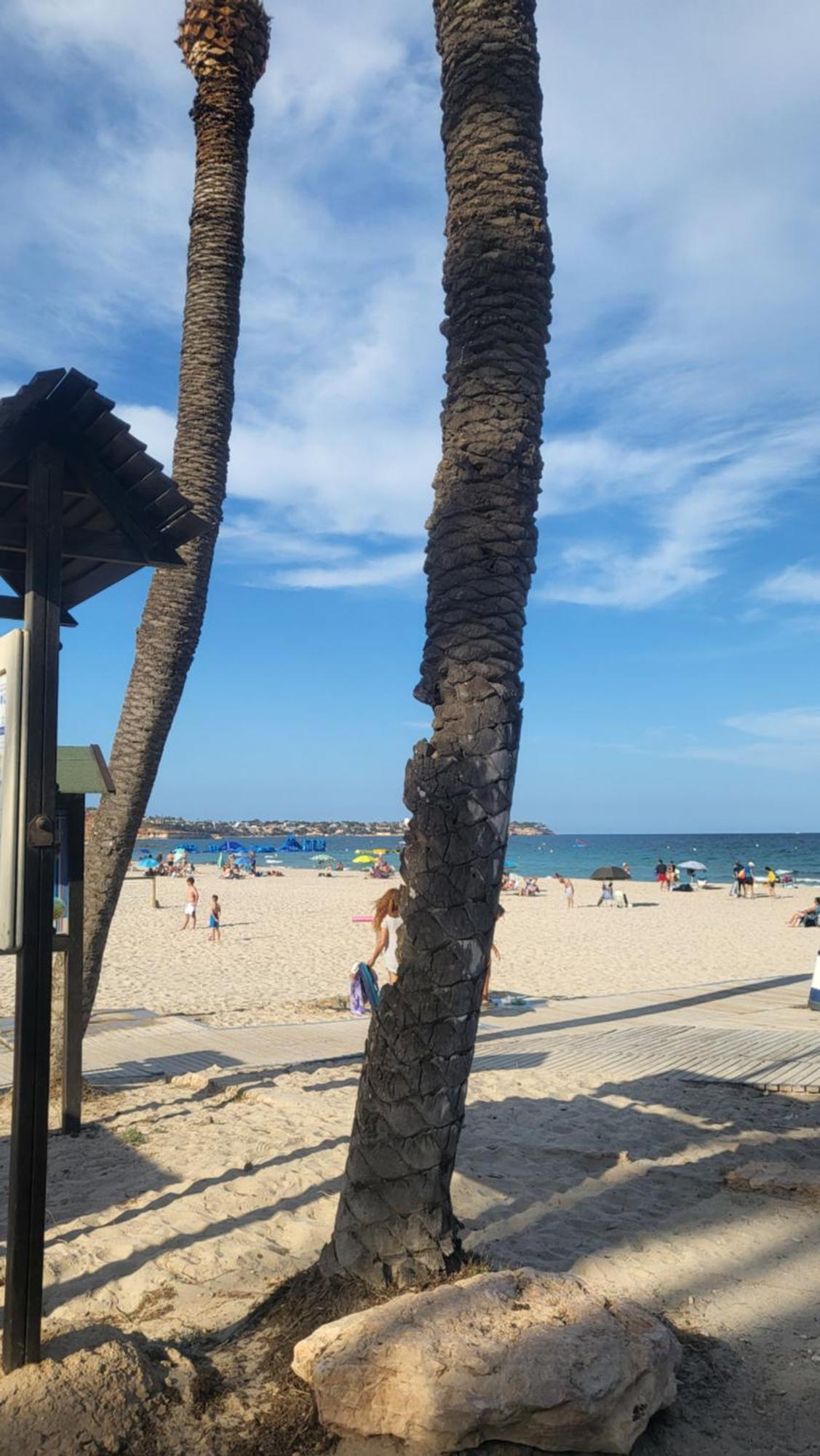 Apartamento Ines, Dehesa De Campoamor,900M From The Sea , Swimming Pool & Tennis Court Екстер'єр фото